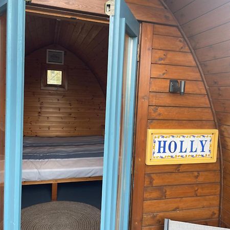 Glamping In The 2Nd Field Otel Aughrim Dış mekan fotoğraf