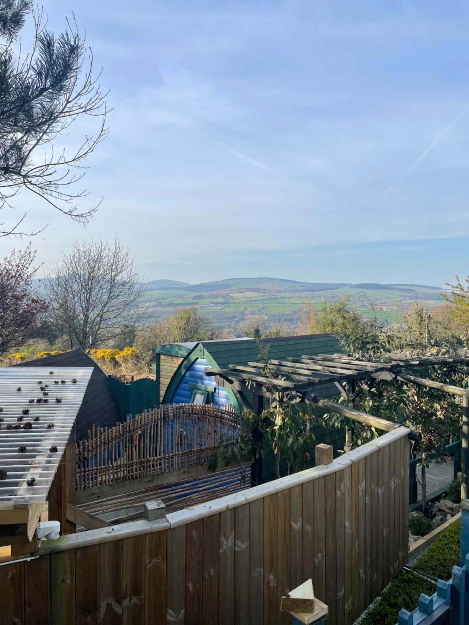 Glamping In The 2Nd Field Otel Aughrim Dış mekan fotoğraf